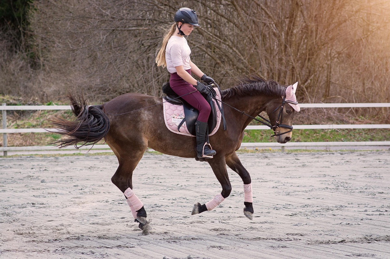 Equestrian/Canva